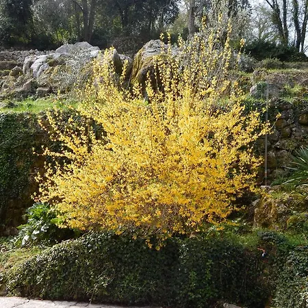 Panzió I Lecci Lerici