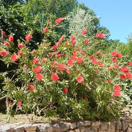 Bed & Breakfast I Lecci Lerici