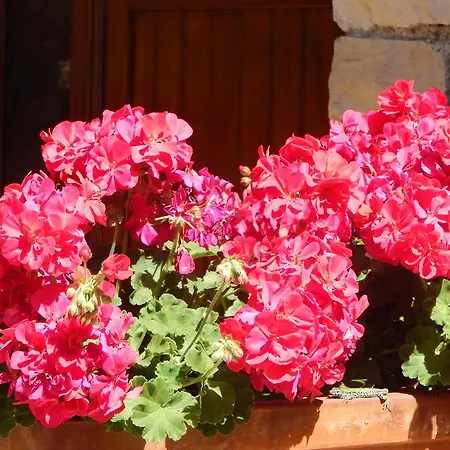 I Lecci Frühstückspension Lerici